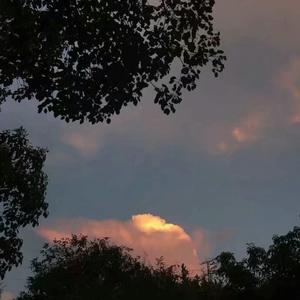 翁媳乱轮日韩毛片
